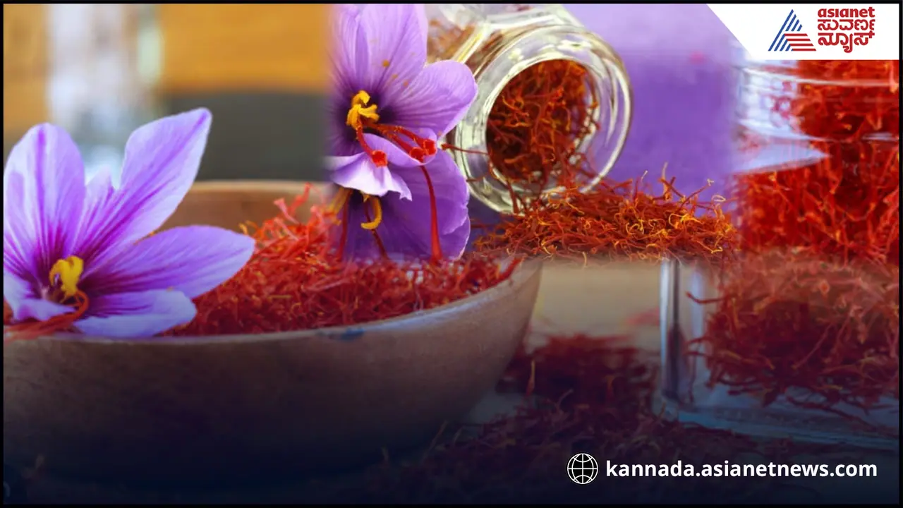 ಪಹಲ್ಗಾಮ್​ ದಾಳಿ ಹಿನ್ನೆಲೆ: ಕೇಸರಿಗೆ ಬಂತು ಚಿನ್ನದ ಬೆಲೆ ಒಂದು ಕೆ.ಜಿಗೆ 5 ಲಕ್ಷ!