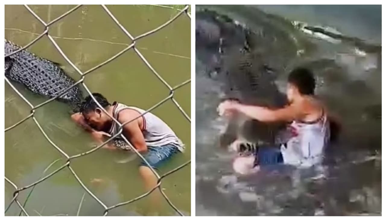 പ്രതിമ ആണെന്ന് കരുതി സെൽഫിയ്ക്കായി മുതലയെ കെട്ടിപ്പിടിച്ചു, പിന്നാലെ കാലില്‍ അമ്പത് തുന്നിക്കെട്ട് !