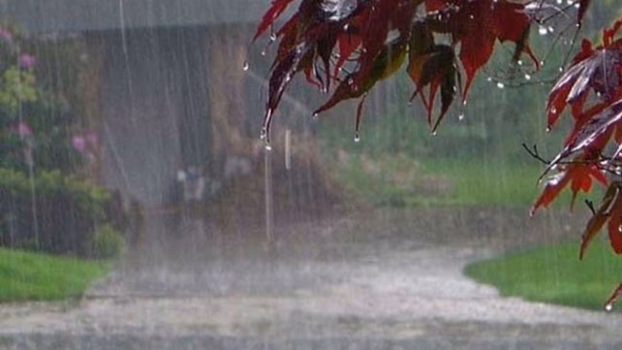 MP Weather Update  