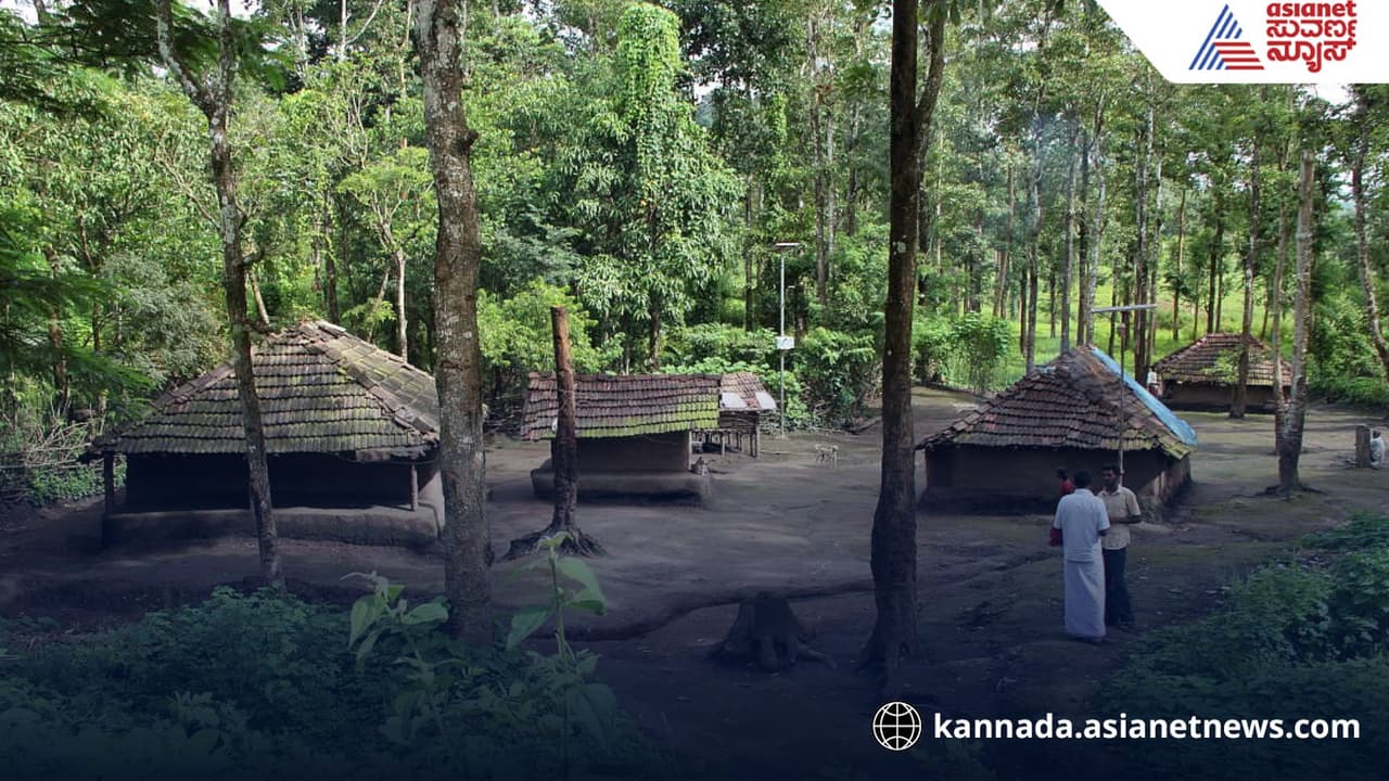 ನಾಗರಹೊಳೆ ಆದಿವಾಸಿಗಳ ಮೇಲೆ ಅರಣ್ಯ ಇಲಾಖೆ ದೌರ್ಜನ್ಯ; ಸಮಿತಿ ಆರೋಪವೇನು? ನಾಗರಹೊಳೆ ಆದಿವಾಸಿಗಳ ಮೇಲೆ ಅರಣ್ಯ ಇಲಾಖೆ ದೌರ್ಜನ್ಯ; ಸಮಿತಿ ಆರೋಪವೇನು?