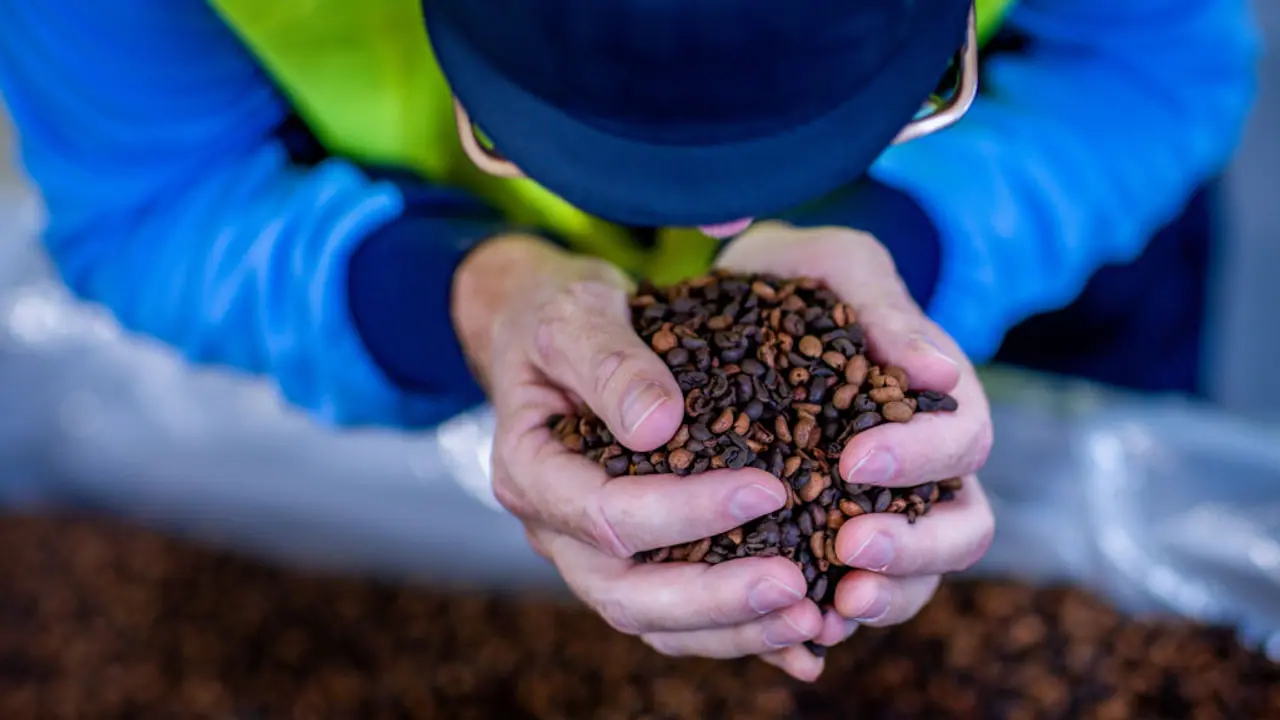 Coffee beans Coffee beans