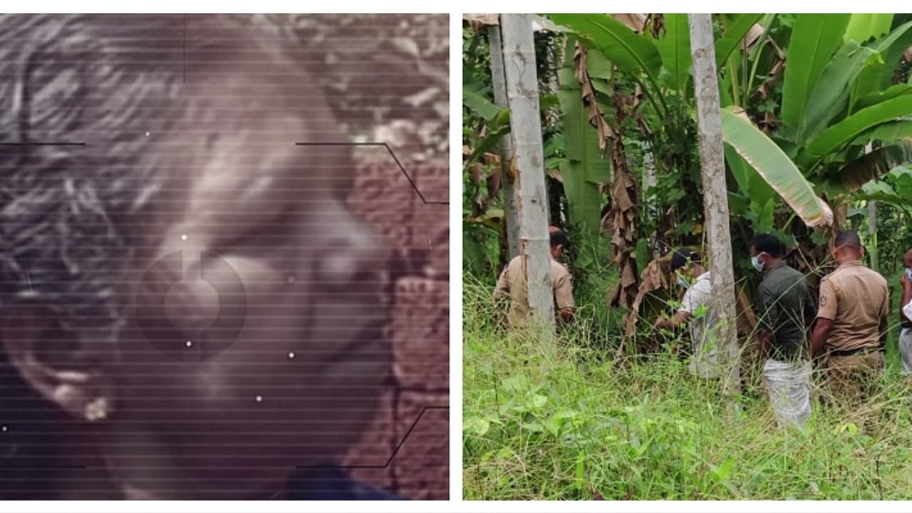 വിളിച്ചിട്ട് ഫോണിൽ കിട്ടിയില്ല, തിരക്കിയെത്തിയ മകൻ കണ്ടത് സമീപത്തെ കൃഷിയിടത്തിൽ അമ്മയുടെ മൃതദേഹം വിളിച്ചിട്ട് ഫോണിൽ കിട്ടിയില്ല, തിരക്കിയെത്തിയ മകൻ കണ്ടത് സമീപത്തെ കൃഷിയിടത്തിൽ അമ്മയുടെ മൃതദേഹം