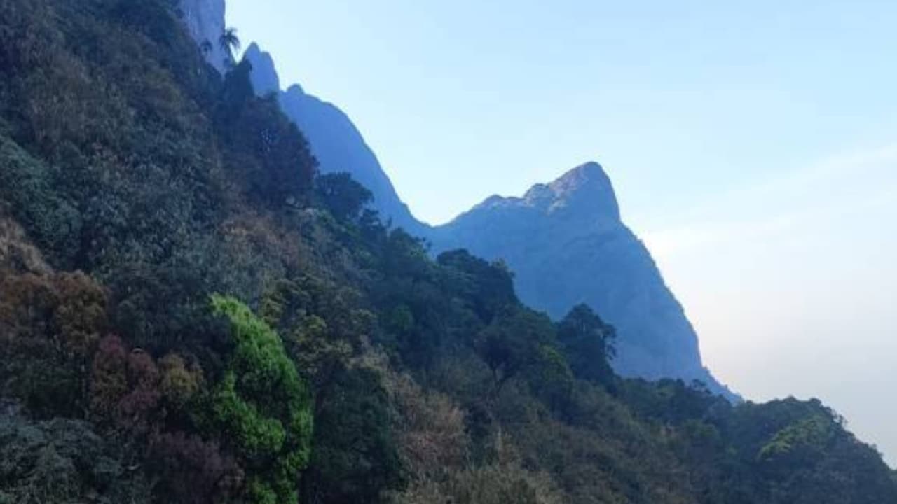 മലയാളി യുവ ഡോക്ടര് തമിഴ്നാട്ടിൽ ട്രക്കിങിനിടെ മരിച്ചു മലയാളി യുവ ഡോക്ടര് തമിഴ്നാട്ടിൽ ട്രക്കിങിനിടെ മരിച്ചു