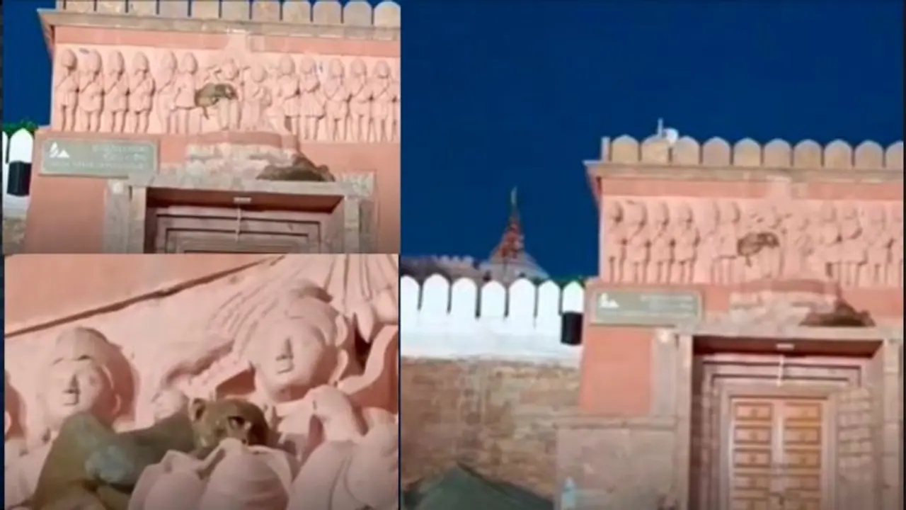 ಬೇರೆ ಜಾಗವಿದ್ದರೂ ರಾಮನ ಮಡಿಲಲ್ಲೇ ಮಗುವಿನಂತೆ ನಿದ್ರಿಸಿದ ಹನುಮ : ವೀಡಿಯೋ ವೈರಲ್ 