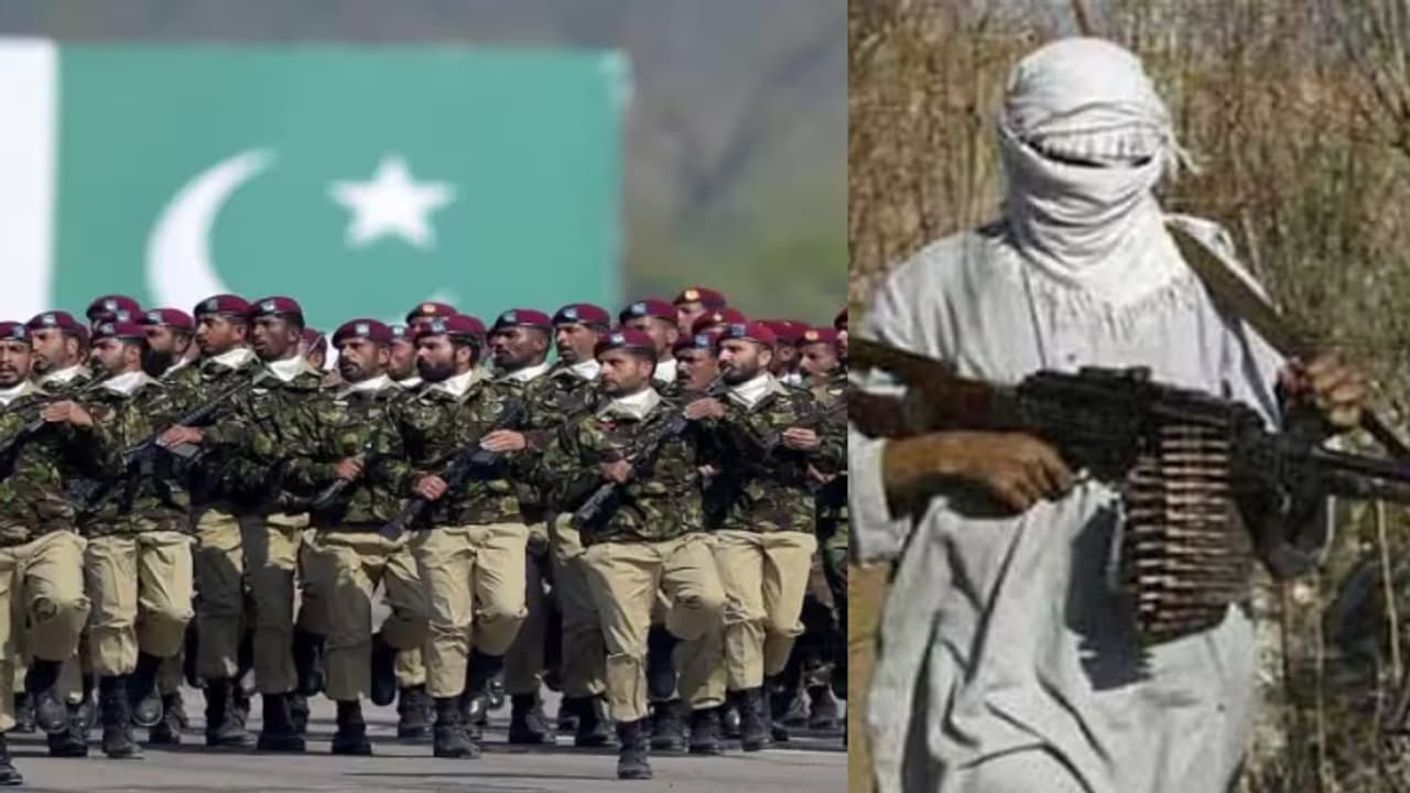 ഹാഷിം മൂസ മുൻ പാക് കമാന്റോ, പഹൽഗാം തീവ്രവാദികൾക്ക് ഉന്നത സൈനിക പരിശീലനം ലഭിച്ചു ? റിപ്പോർട്ട് ഹാഷിം മൂസ മുൻ പാക് കമാന്റോ, പഹൽഗാം തീവ്രവാദികൾക്ക് ഉന്നത സൈനിക പരിശീലനം ലഭിച്ചു ? റിപ്പോർട്ട്