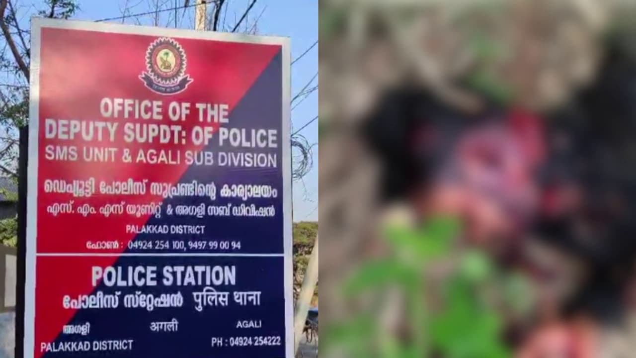 അട്ടപ്പാടിയിൽ യുവാവിനെ കഴുത്തറുത്ത് കൊന്ന അസം സ്വദേശി നജ്റുൽ ഇസ്ലാം പിടിയിൽ, സംഭവം ജോലിക്കെത്തി രണ്ടാം ദിനം