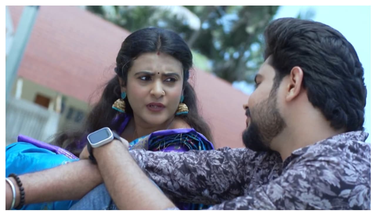 കാമുകനൊപ്പം അനാമിക, കയ്യോടെ പൊക്കി അനി പത്തരമാറ്റ് സീരിയൽ റിവ്യൂ 