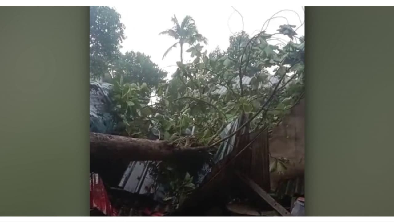 വെളുപ്പിന് 5 മണിക്ക് തേക്കുമരം ഒടിഞ്ഞ് ലേബർ ക്യാംപിന് മുകളിലേക്ക് വീണു; ഒരാൾ മരിച്ചു, 3 പേർക്ക് പരിക്ക് വെളുപ്പിന് 5 മണിക്ക് തേക്കുമരം ഒടിഞ്ഞ് ലേബർ ക്യാംപിന് മുകളിലേക്ക് വീണു; ഒരാൾ മരിച്ചു, 3 പേർക്ക് പരിക്ക്