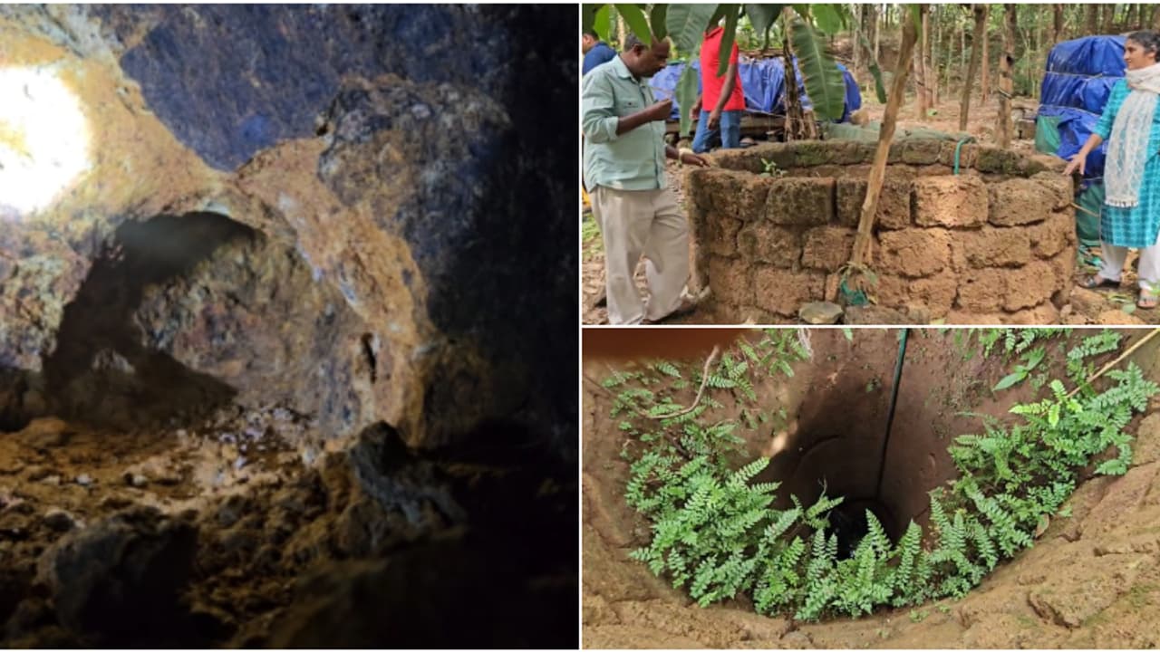 കിണറിനടുത്ത് പൂച്ച വന്നിരുന്ന് സ്ഥിരമായി കരഞ്ഞത് നാട്ടുകാർ ശ്രദ്ധിച്ചു! പതിനഞ്ചാം നാൾ കുഞ്ഞിപ്പൂച്ചക്ക് രക്ഷ കിണറിനടുത്ത് പൂച്ച വന്നിരുന്ന് സ്ഥിരമായി കരഞ്ഞത് നാട്ടുകാർ ശ്രദ്ധിച്ചു! പതിനഞ്ചാം നാൾ കുഞ്ഞിപ്പൂച്ചക്ക് രക്ഷ