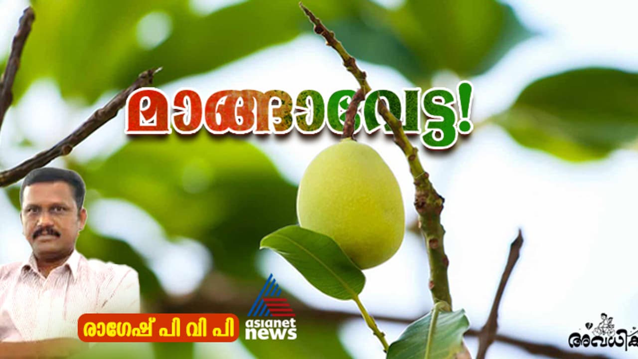 ഭയന്നു വിറച്ച് അമ്മയുടെ വലതു വശം കടന്ന്  ഓടാന്‍ ശ്രമിച്ചപ്പോള്‍, മുന്നിലതാ എളേമ്മ!