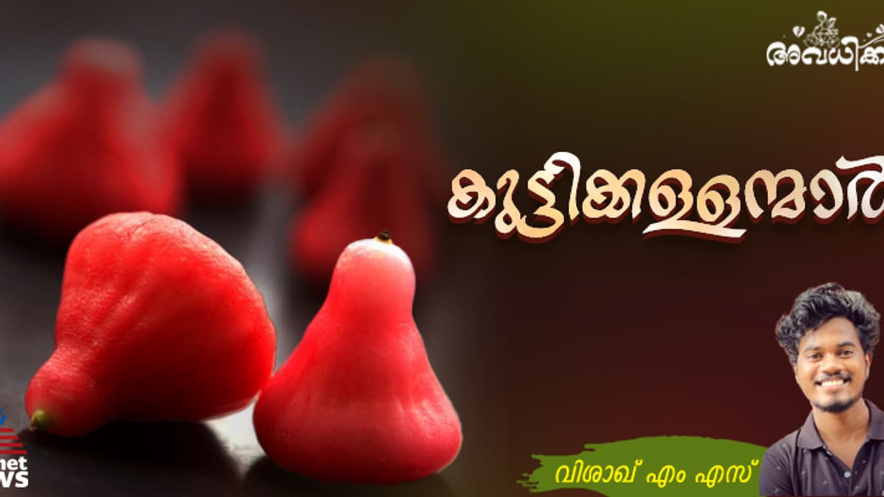 'ചോര...അമ്മൂനെ ചാത്തന്‍ പിടിച്ചെടാ...' ഞങ്ങള്‍ ഓടിയെത്തിയപ്പോള്‍ കണ്ടത് നിലത്താകെ ചോരത്തുള്ളികള്‍... 