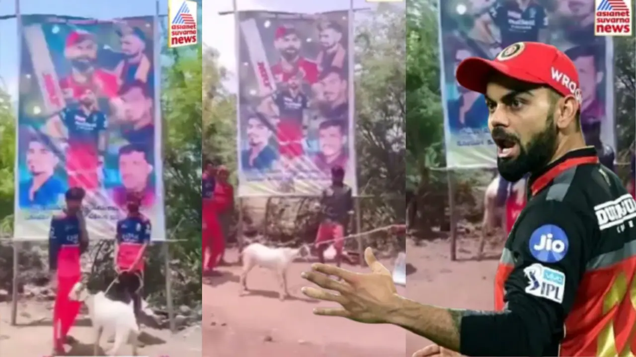 RCB ಗೆಲುವಿಗೆ ಮೇಕೆ ಬಲಿ; ವಿರಾಟ್ ಕೊಹ್ಲಿಯ ಮೂವರು ಅಭಿಮಾನಿಗಳ ಬಂಧನ RCB ಗೆಲುವಿಗೆ ಮೇಕೆ ಬಲಿ; ವಿರಾಟ್ ಕೊಹ್ಲಿಯ ಮೂವರು ಅಭಿಮಾನಿಗಳ ಬಂಧನ