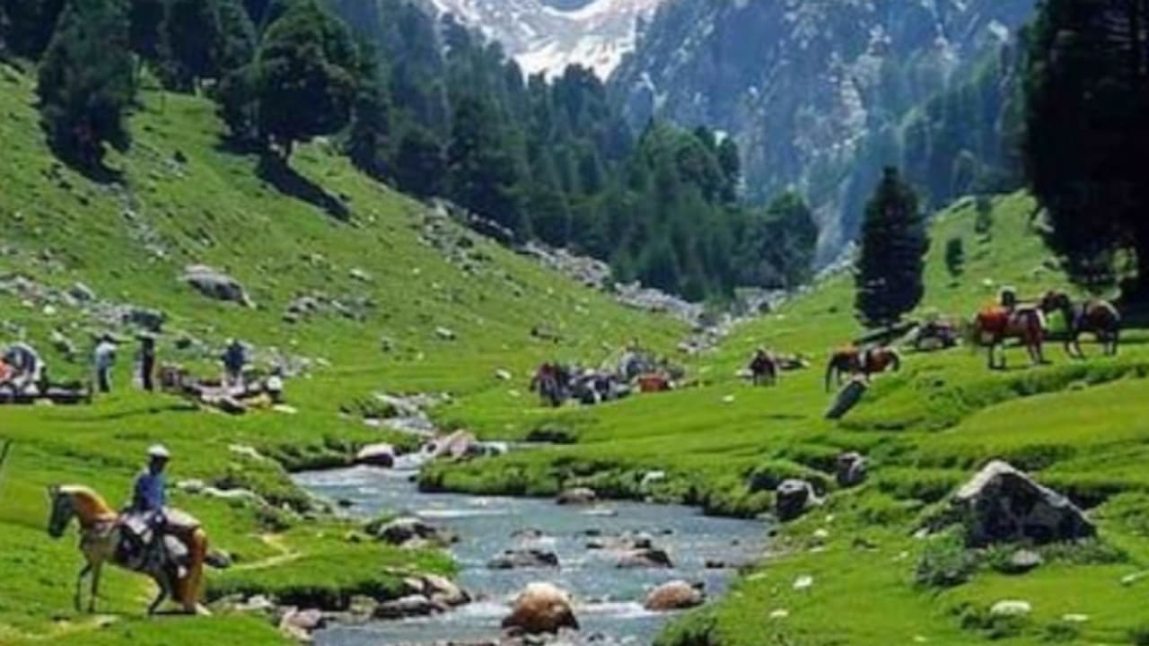 ജമ്മു കശ്മീരിലെ ഗുൽമാര്ഗിൽ മലയാളി യുവാവ് മരിച്ച നിലയിൽ ജമ്മു കശ്മീരിലെ ഗുൽമാര്ഗിൽ മലയാളി യുവാവ് മരിച്ച നിലയിൽ