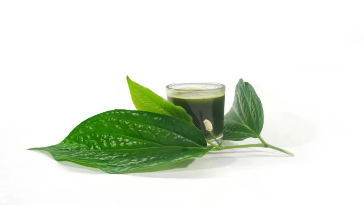 வெற்றிலை ஜூஸ் இப்படி குடித்தால் செரிமான பிரச்சனையே வராது