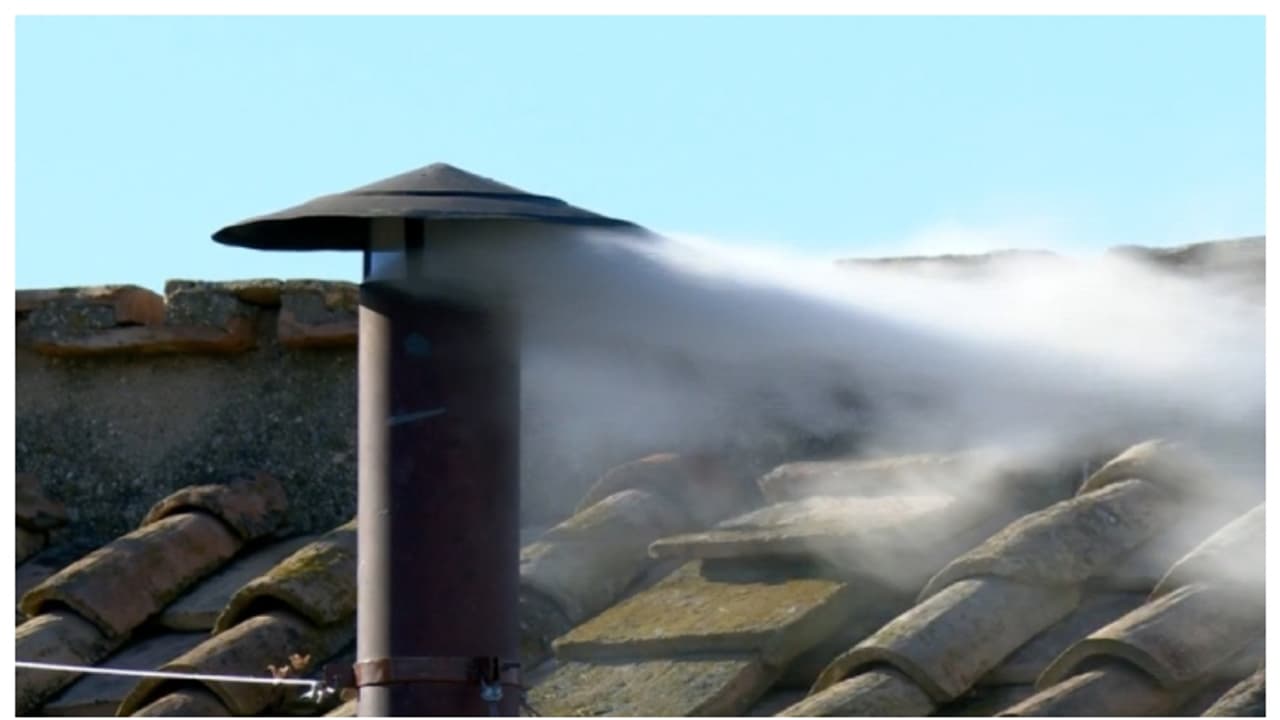 രണ്ടാം നാൾ വെള്ളപ്പുക; കത്തോലിക്കാ സഭ പുതിയ മാർപ്പാപ്പയെ തെരഞ്ഞെടുത്തു രണ്ടാം നാൾ വെള്ളപ്പുക; കത്തോലിക്കാ സഭ പുതിയ മാർപ്പാപ്പയെ തെരഞ്ഞെടുത്തു