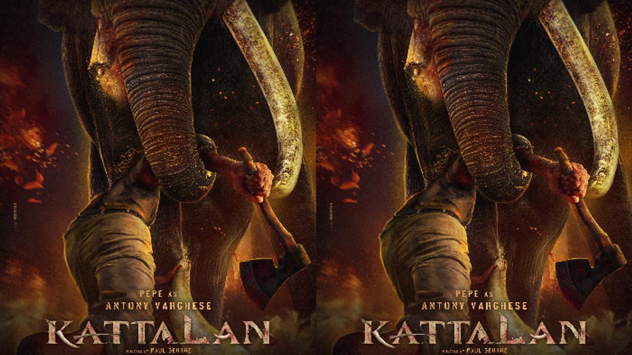 ആനയും മനുഷ്യനും മുഖാമുഖം: ആനക്കൊമ്പ് കൈയ്യിലേറി പെപ്പെ; 'കാട്ടാള'ന്റെ പുതിയ പോസ്റ്റർ!