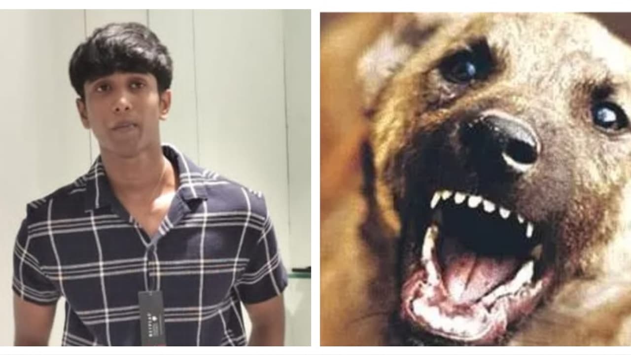 ബന്ധുവീട്ടിൽ വെച്ച് വളർത്തുനായയുടെ നഖം കൊണ്ട് മുറിവേറ്റു; പേവിഷബാധയെ തുടർന്ന് വിദ്യാർത്ഥി മരിച്ചു ബന്ധുവീട്ടിൽ വെച്ച് വളർത്തുനായയുടെ നഖം കൊണ്ട് മുറിവേറ്റു; പേവിഷബാധയെ തുടർന്ന് വിദ്യാർത്ഥി മരിച്ചു