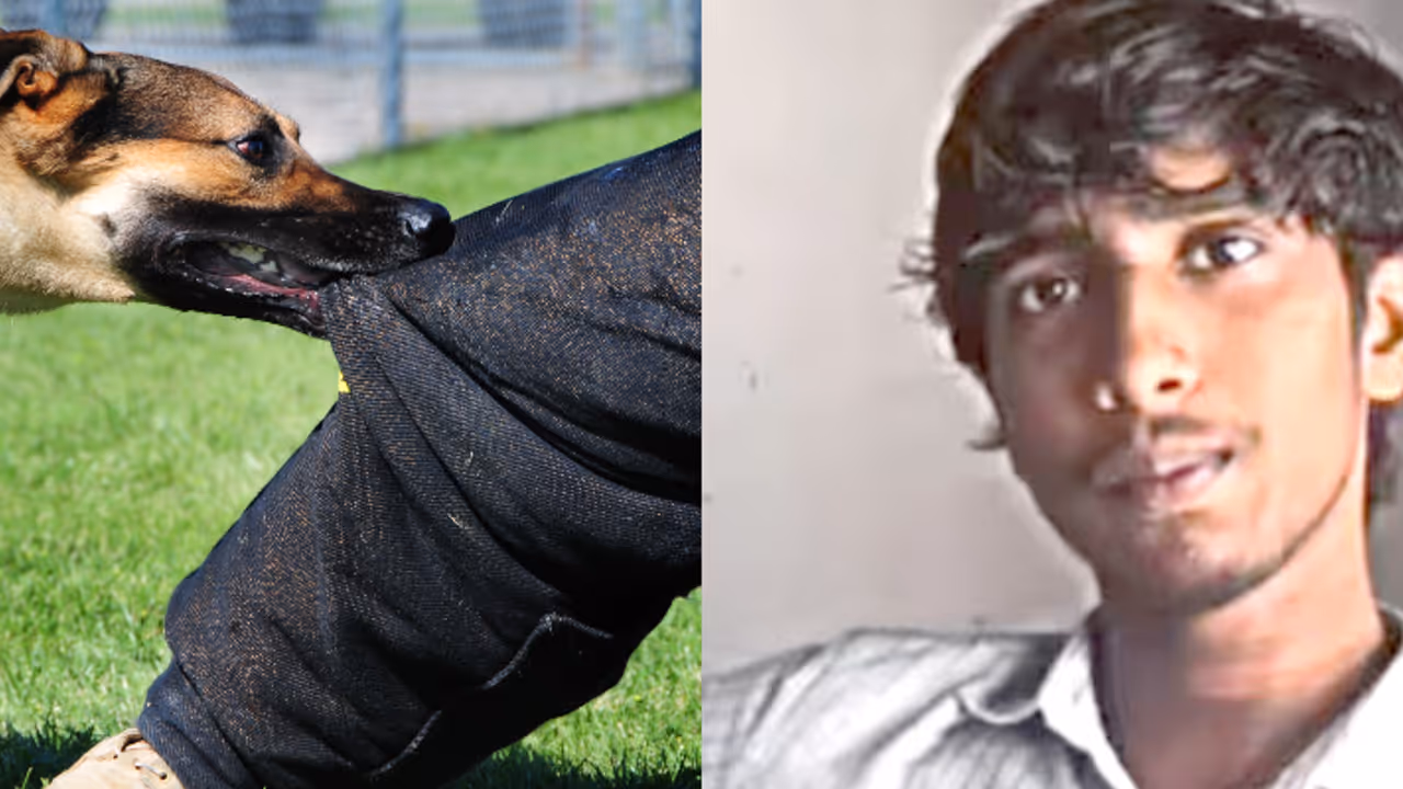  വളർത്ത് നായയുടെ നഖം കൊണ്ട് പോറി, വാക്സിനെടുത്തില്ല; ആലപ്പുഴയിൽ പേവിഷ ബാധയേറ്റ് 17 കാരൻ മരിച്ചു