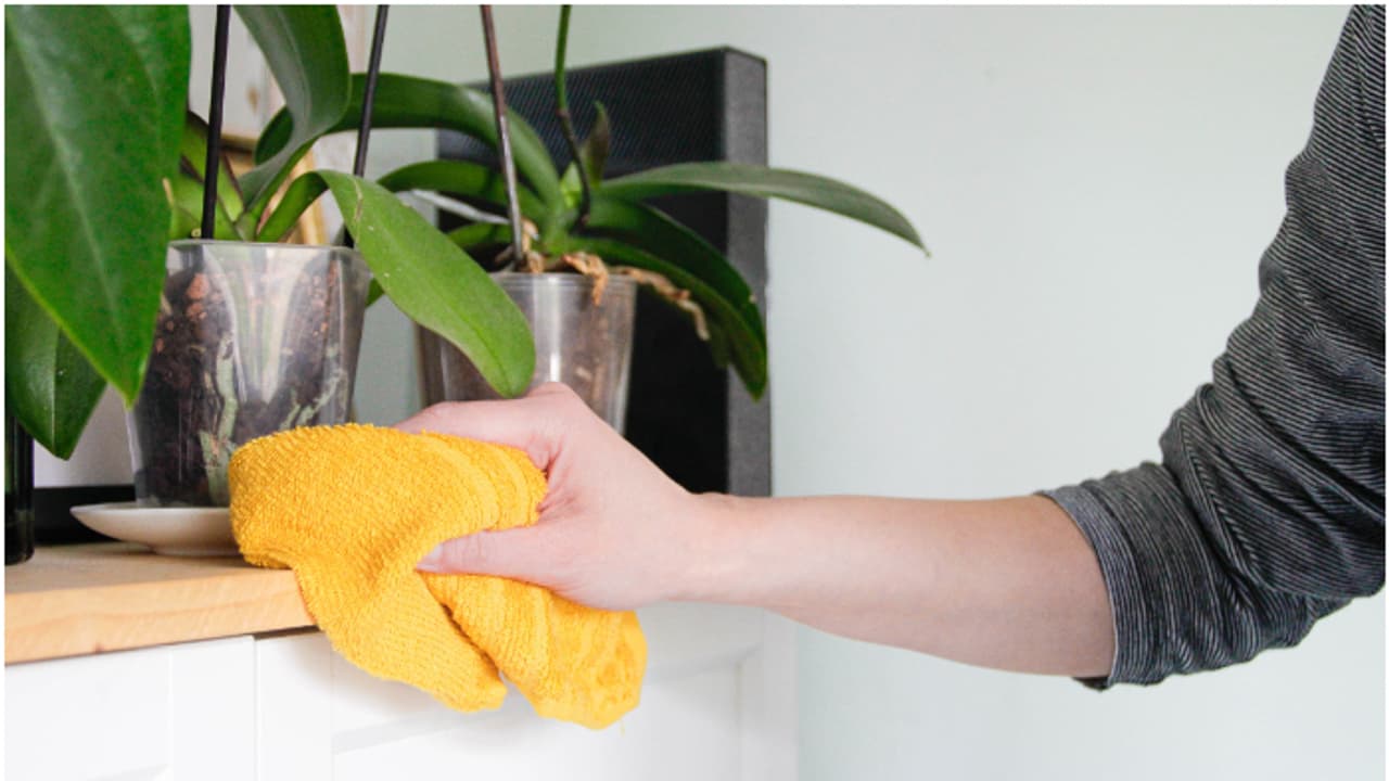 വീട്ടുജോലിക്കാരെ പെട്ടെന്ന് ഒരു ദിവസം കാണാതായി, ഫോണുകൾ ഓഫ്; പരിശോധനയിൽ ട്വിസ്റ്റ്! വിലയേറിയ പലതും നഷ്ടമായി