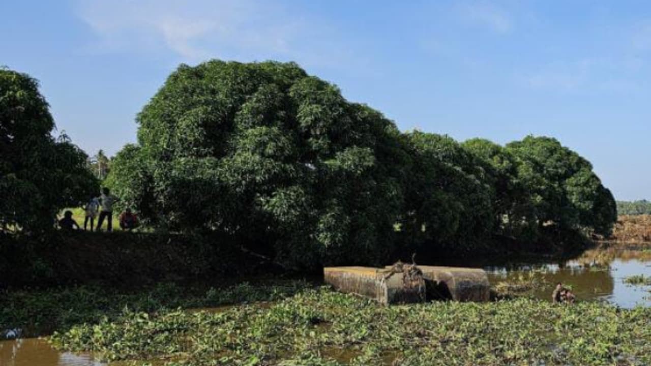 ആലപ്പാട് കനാൽ വൃത്തിയാക്കുന്നതിനിടെ ജെസിബി മറിഞ്ഞ് തൊഴിലാളിയെ കാണാതായി