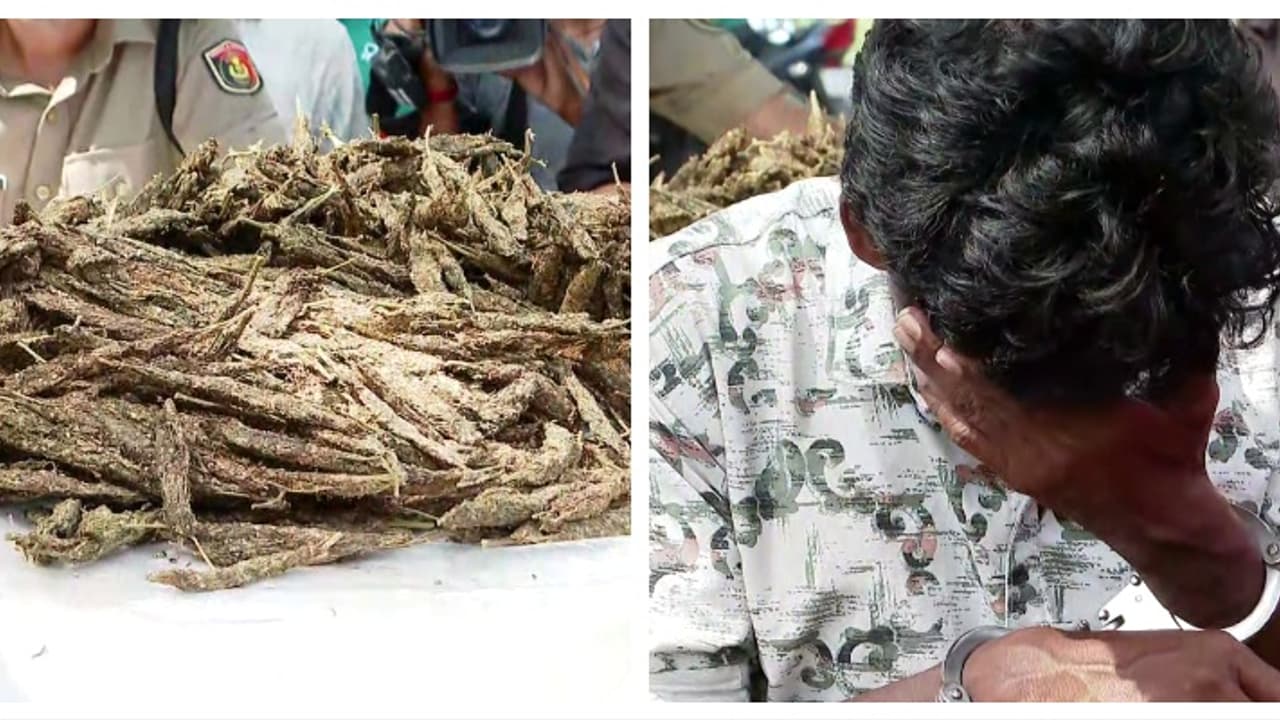 ഹോട്ടൽ ജോലിക്കാരനായ രാജേഷ് എത്തിയത് ഓട്ടോയിൽ, 'ഒറിയൻ സ്പെഷ്യൽ' 5കിലോ വരുന്നുവെന്ന് രഹസ്യ വിവരം; ഒടുവിൽ പിടിയിൽ ഹോട്ടൽ ജോലിക്കാരനായ രാജേഷ് എത്തിയത് ഓട്ടോയിൽ, 'ഒറിയൻ സ്പെഷ്യൽ' 5കിലോ വരുന്നുവെന്ന് രഹസ്യ വിവരം; ഒടുവിൽ പിടിയിൽ