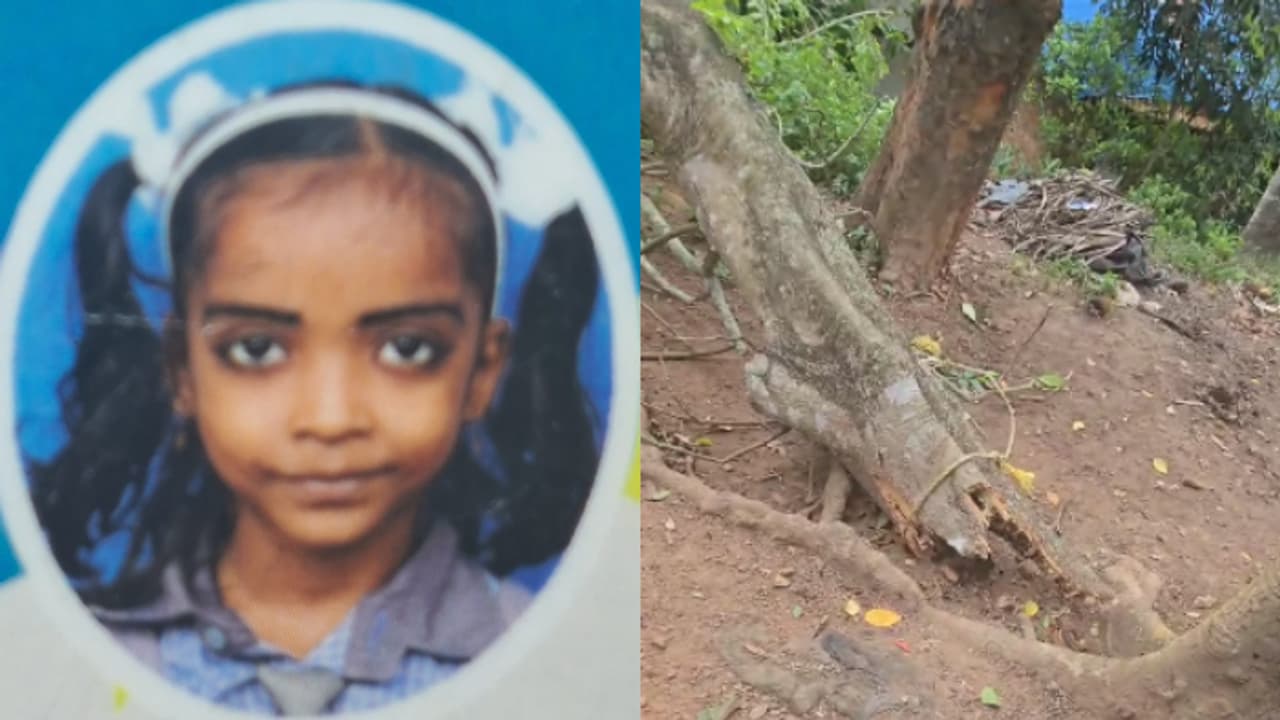 മരം ഒടിഞ്ഞു വീഴുന്ന ശബ്ദം കേട്ടു, കുഞ്ഞനുജനെ രക്ഷിക്കാൻ ഓടിയെത്തി, പക്ഷേ പെൺകുട്ടിക്ക് ദാരുണാന്ത്യം