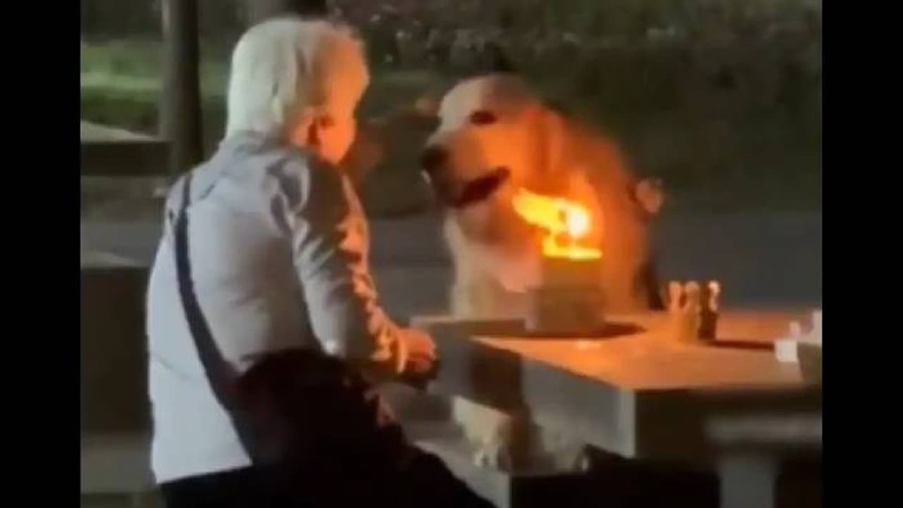 കണ്ടവരുടെ കണ്ടവരുടെ മനസ് കീഴടക്കിയ വീഡിയോ; പാര്‍ക്കില്‍ കേക്ക് മുറി, നായയുടെ പിറന്നാള്‍ ആഘോഷിച്ച് മുത്തശ്ശിയും