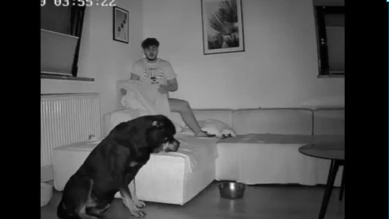 ಮಧ್ಯರಾತ್ರಿ ನಾಯಿ ಮಾಡಿದ ಕಿತಾಪತಿಗೆ ಬೆಚ್ಚಿ ಬಿದ್ದ ಮಾಲೀಕ: ಆಗಿದ್ದೇನು ನೋಡಿ ಮಧ್ಯರಾತ್ರಿ ನಾಯಿ ಮಾಡಿದ ಕಿತಾಪತಿಗೆ ಬೆಚ್ಚಿ ಬಿದ್ದ ಮಾಲೀಕ: ಆಗಿದ್ದೇನು ನೋಡಿ