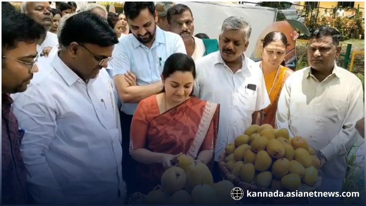 ಧಾರವಾಡದಲ್ಲಿ 7 ಕೋಟಿ ವೆಚ್ಚದಲ್ಲಿ ಮಾವು ಅಭಿವೃದ್ಧಿ ಕೇಂದ್ರ ಸ್ಥಾಪನೆ ಧಾರವಾಡದಲ್ಲಿ 7 ಕೋಟಿ ವೆಚ್ಚದಲ್ಲಿ ಮಾವು ಅಭಿವೃದ್ಧಿ ಕೇಂದ್ರ ಸ್ಥಾಪನೆ