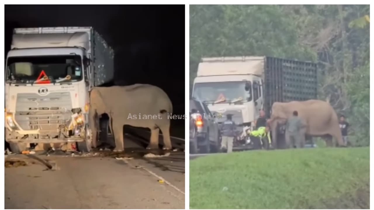 കരളുലയ്ക്കും ആ നില്‍പ്പ്; ട്രക്ക് ഇടിച്ചു കൊല്ലപ്പെട്ട കുഞ്ഞിനരികെ കണ്ണീരോടെ അമ്മയാന, വീഡിയോ 
