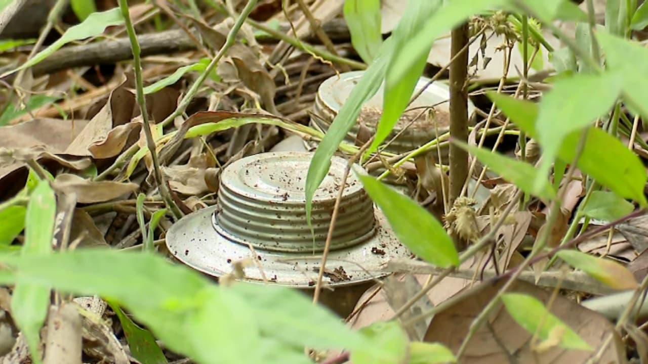 കണ്ണൂരിൽ മണ്ണിൽ ചവിട്ടുമ്പോൾ കരുതണമെന്ന ഉപദേശത്തിന് ഇതാ ഒരു തെളിവ് കൂടി; തെങ്ങിൻതോപ്പിൽ കണ്ടെത്തിയത് 2 ബോംബുകൾ കണ്ണൂരിൽ മണ്ണിൽ ചവിട്ടുമ്പോൾ കരുതണമെന്ന ഉപദേശത്തിന് ഇതാ ഒരു തെളിവ് കൂടി; തെങ്ങിൻതോപ്പിൽ കണ്ടെത്തിയത് 2 ബോംബുകൾ