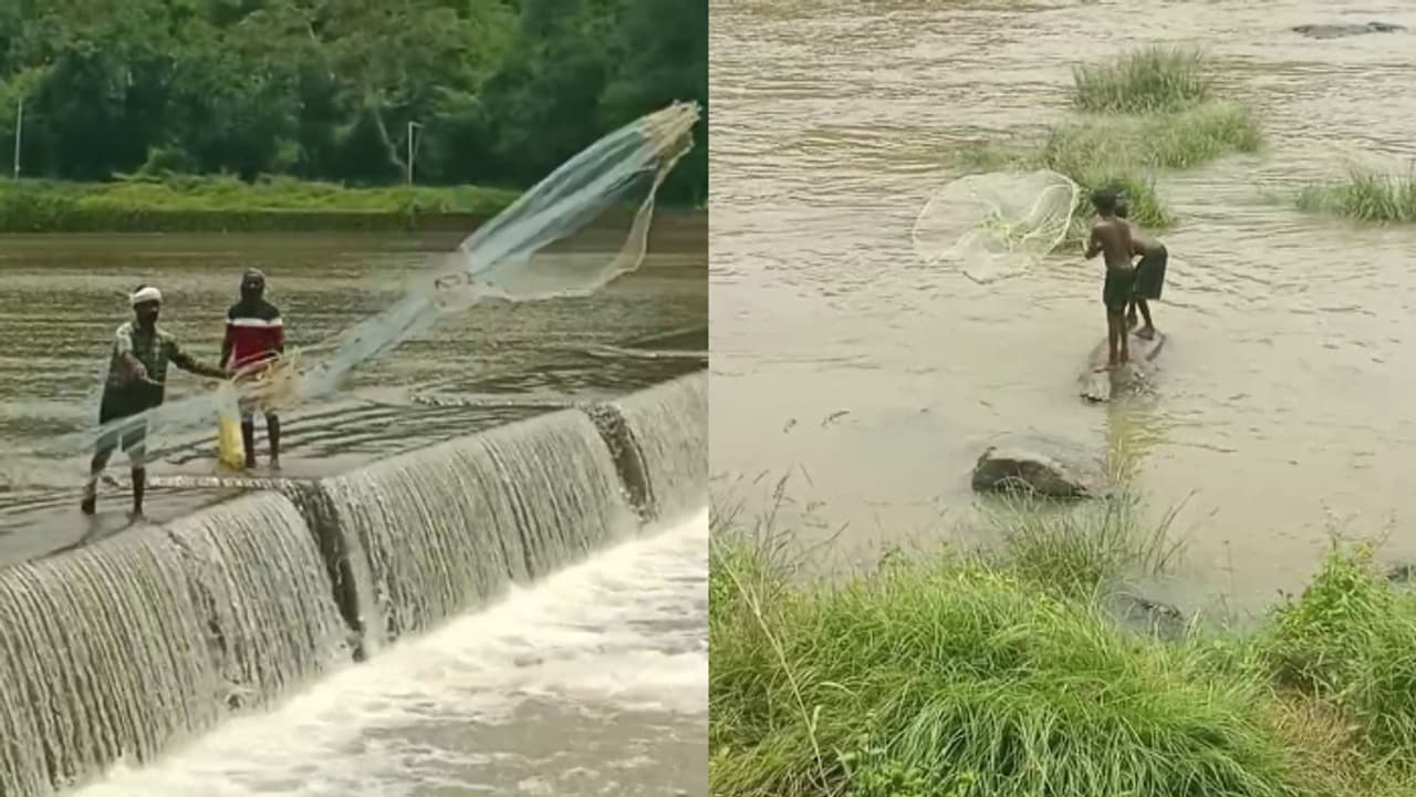 ആഫ്രിക്കൻ മുഷി മുതല്‍ കല്ലേമുട്ടി വരെ, വയനാട്ടിൽ സജീവമായി മീന്‍പിടുത്ത സംഘങ്ങള്‍, കുട്ടികളെത്തുന്നത് ആശങ്ക