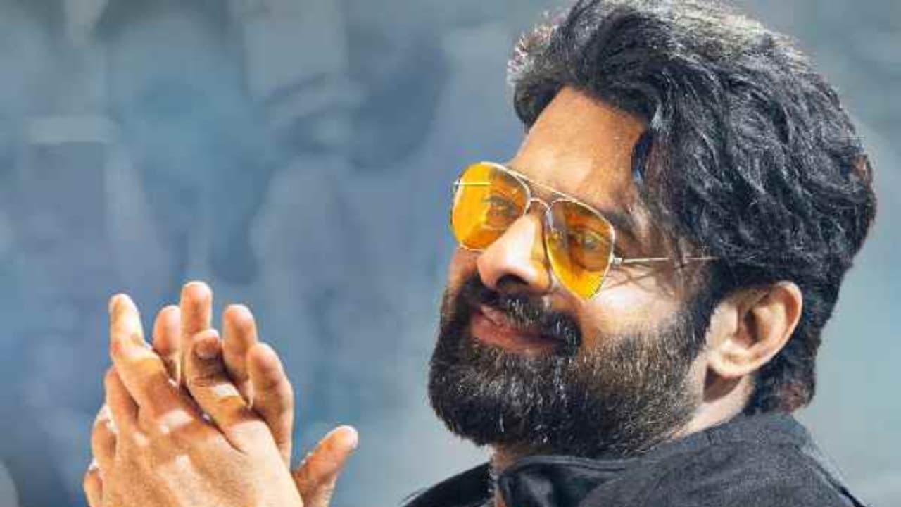 കരിയറിലെ ഏറ്റവും വലിയ പ്രതിഫലം; പ്രഭാസിന്‍റെ 'സ്‍പിരിറ്റി'ല്‍ നായികയ്ക്ക് ലഭിക്കുന്ന തുക