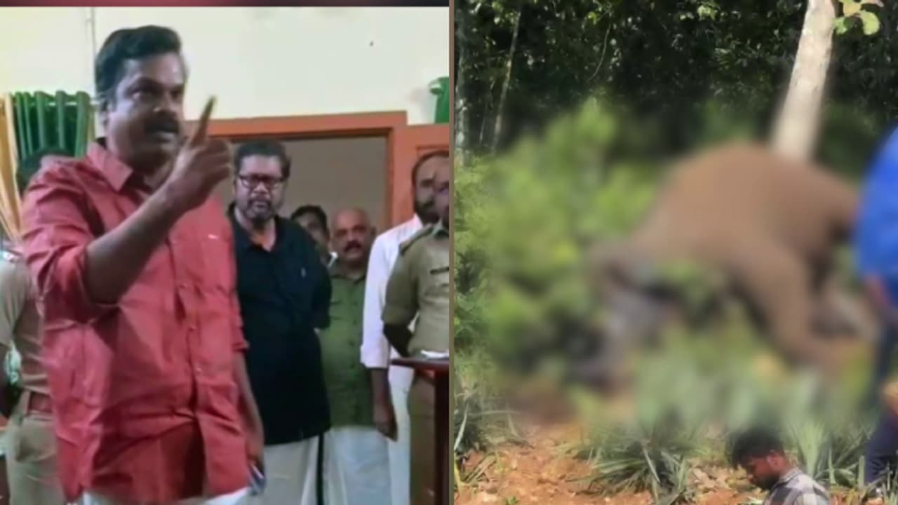 ഉണ്ടായത് വൈകാരിക പ്രകടനമെന്ന് കെയു ജനീഷ്‍കുമാർ എംഎൽഎ; വാദം തള്ളി ഡിഎഫ്ഒ, 'ആരെയും അറസ്റ്റ് ചെയ്തിട്ടില്ല'