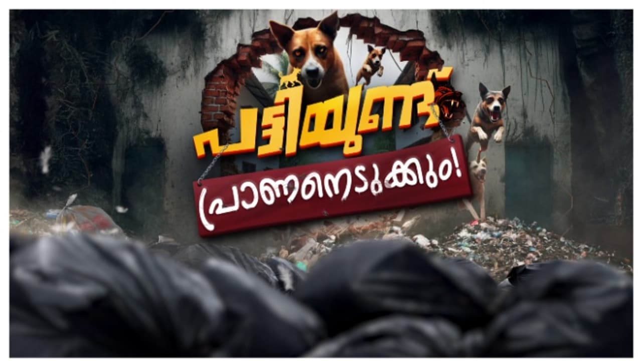 തലസ്ഥാനമാണ് മുന്നിൽ, ഈ വർഷം പട്ടികടിയേറ്റത് 15,718 പേർക്ക്! കൊല്ലത്ത് 12,654, പേടിപ്പിക്കുന്ന കണക്ക്! തലസ്ഥാനമാണ് മുന്നിൽ, ഈ വർഷം പട്ടികടിയേറ്റത് 15,718 പേർക്ക്! കൊല്ലത്ത് 12,654, പേടിപ്പിക്കുന്ന കണക്ക്!