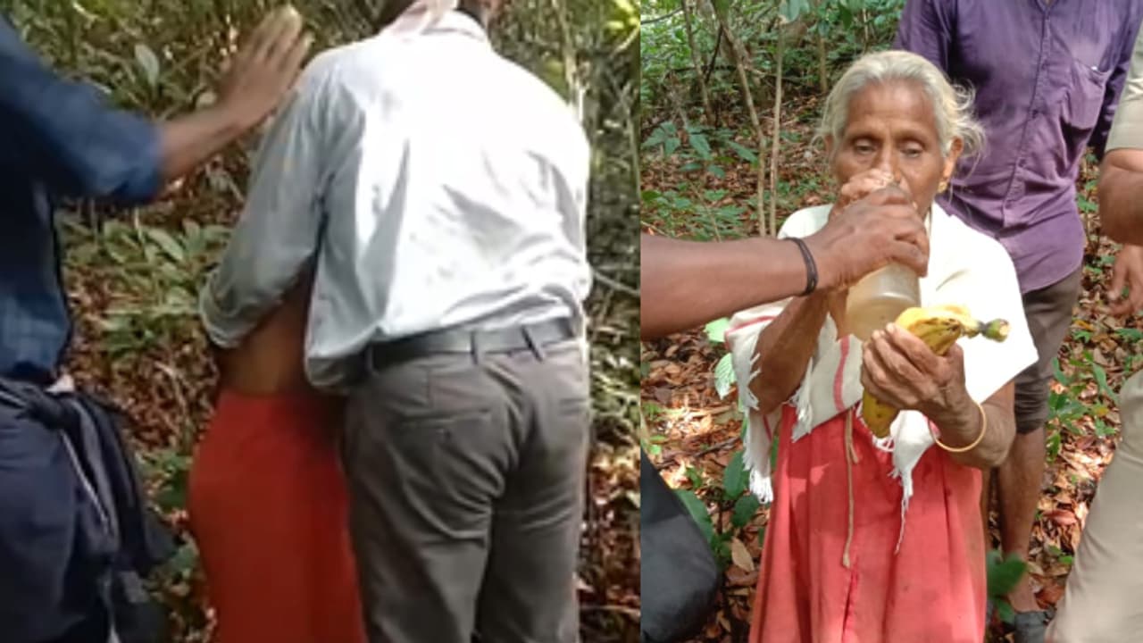 പഞ്ചാരക്കൊല്ലിക്ക് സമീപത്തെ കാട്ടിലേക്ക് ഊന്നുവടിയൂന്നി കയറിപ്പോയ ലീല; ഉൾക്കാട്ടിൽ മൂന്ന് ദിവസം, സുരക്ഷിത 