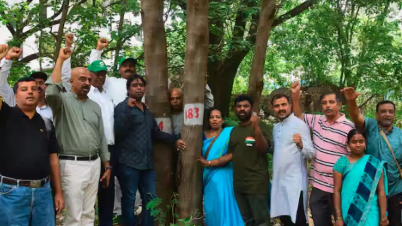 ಬೆಂಗಳೂರು: ಕಂಟೋನ್ಮೆಂಟ್‌ನಲ್ಲಿ 368 ಮರಗಳ ಮಾರಣಹೋಮ; 'ಪರಿಸರಕ್ಕಾಗಿ ನಾವು' ಸಂಘಟನೆಯಿಂದ ತೀವ್ರ ವಿರೋಧ