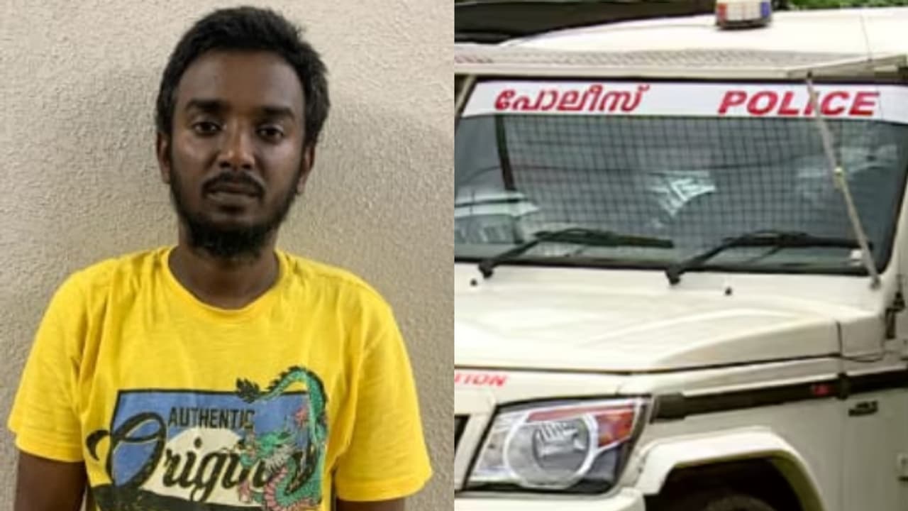 ഭക്ഷണത്തിന് റേറ്റിങ് നൽകിയാൽ ഉടൻ പണം, ലാഭം കിട്ടിത്തുടങ്ങി; ടാസ്ക് നീണ്ടപ്പോൾ വീട്ടമ്മക്ക് നഷ്ടം 17 ലക്ഷം രൂപ!