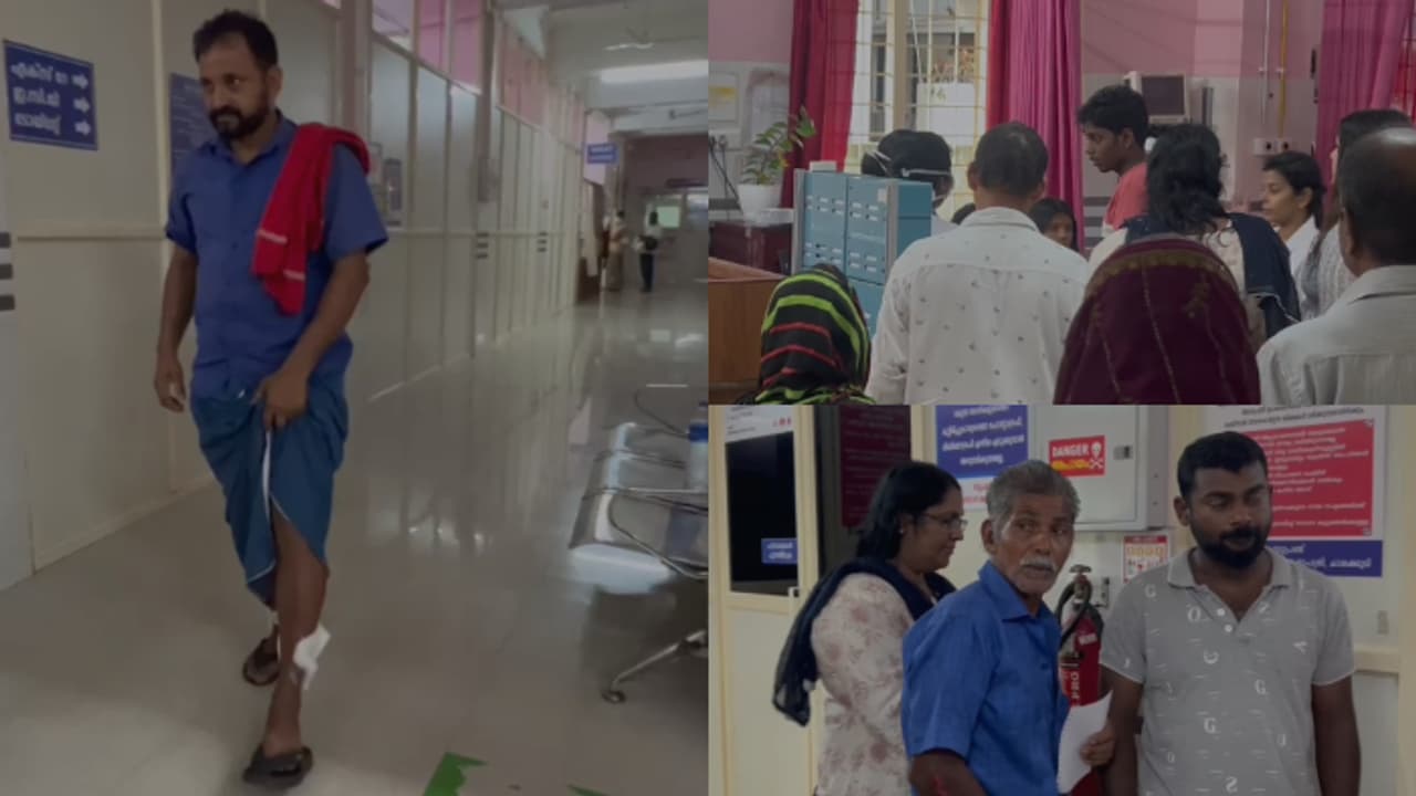 കുട്ടികളടക്കം 12 പേരെ കടിച്ചു, തെരുവുപട്ടിക്ക് പേയുണ്ടോ എന്ന് സംശയം; കടിയേറ്റവർ ചികിത്സയിൽ കുട്ടികളടക്കം 12 പേരെ കടിച്ചു, തെരുവുപട്ടിക്ക് പേയുണ്ടോ എന്ന് സംശയം; കടിയേറ്റവർ ചികിത്സയിൽ