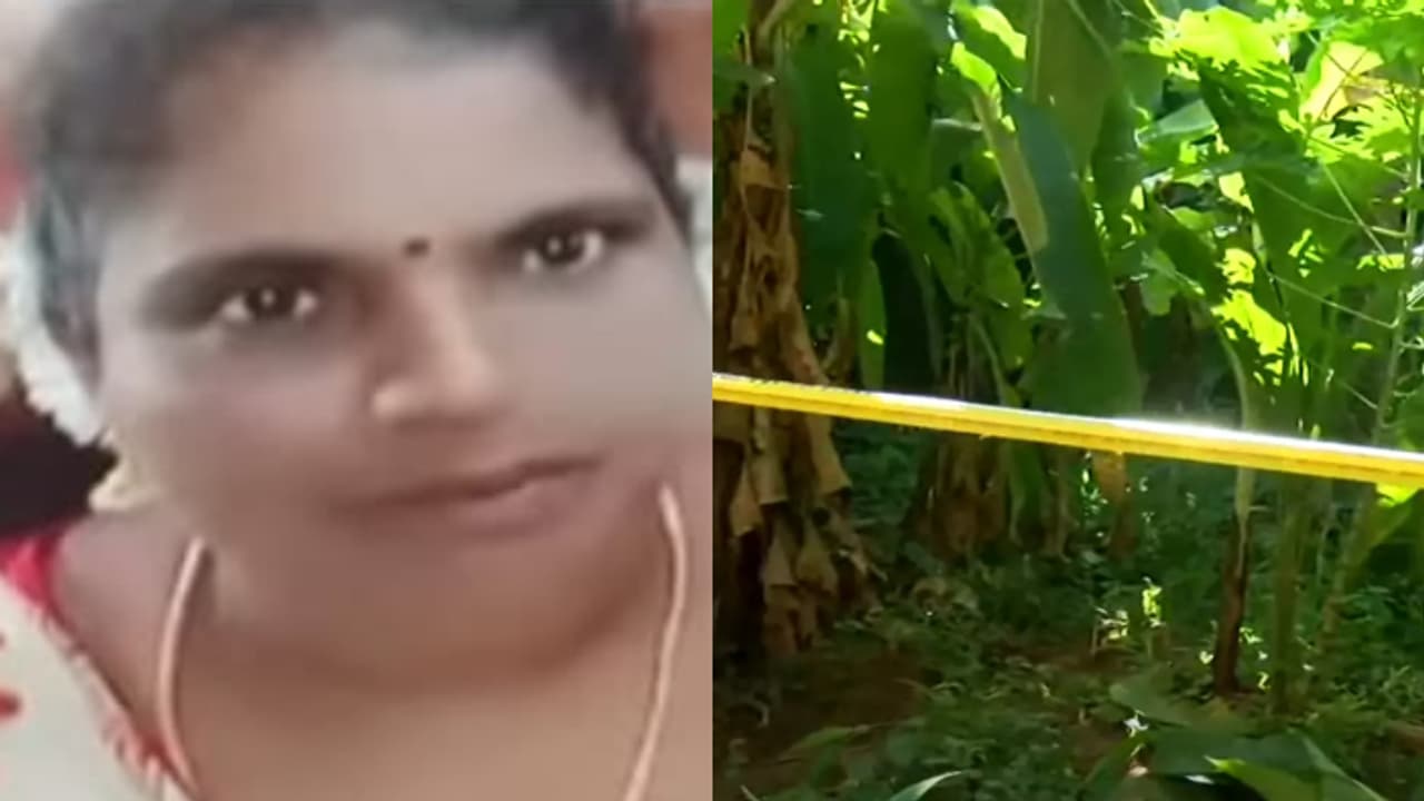 'കൊവിഡ് കാലത്ത് പരിചയം, ഒന്നിച്ച് താമസം'; സ്വകാര്യ ദൃശ്യങ്ങൾ കാണിച്ച് പണം ചോദിച്ചു, ഷീജയുടെ മരണത്തിൽ ദുരൂഹത