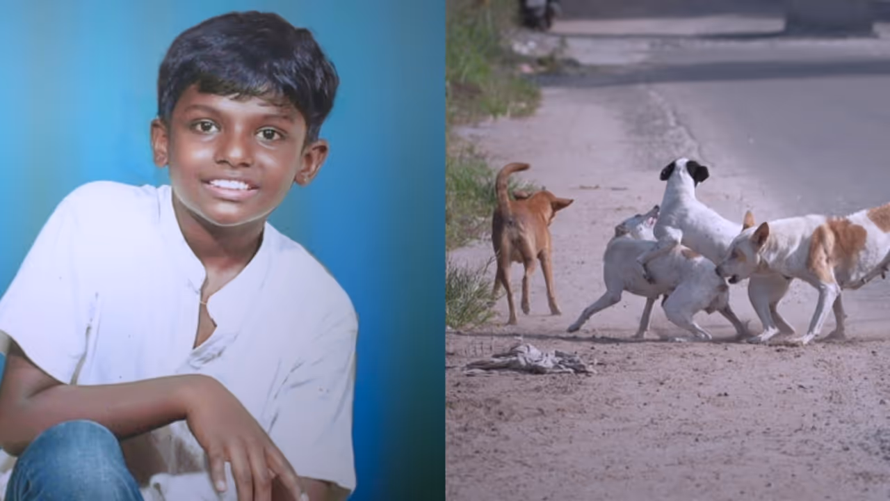 സാവന്റെ ശരീരത്തിൽ നായ കടിയേറ്റ പാട് പോലുമില്ല, എന്നിട്ടും പേവിഷ ബാധ; ഈ വർഷം സംസ്ഥാനത്ത് മരിച്ചത് 4 കുട്ടികള് സാവന്റെ ശരീരത്തിൽ നായ കടിയേറ്റ പാട് പോലുമില്ല, എന്നിട്ടും പേവിഷ ബാധ; ഈ വർഷം സംസ്ഥാനത്ത് മരിച്ചത് 4 കുട്ടികള്