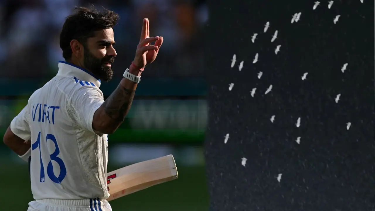 RCB vs KKR; ಬಿಳಿ ವಸ್ತ್ರಕ್ಕೆ ಬಣ್ಣ ತುಂಬಿದ್ದ Virat Kohli; ಬೆಂಗಳೂರಿನಲ್ಲಿ ಗೌರವ ನೀಡಿದ ಪಾರಿವಾಳಗಳು