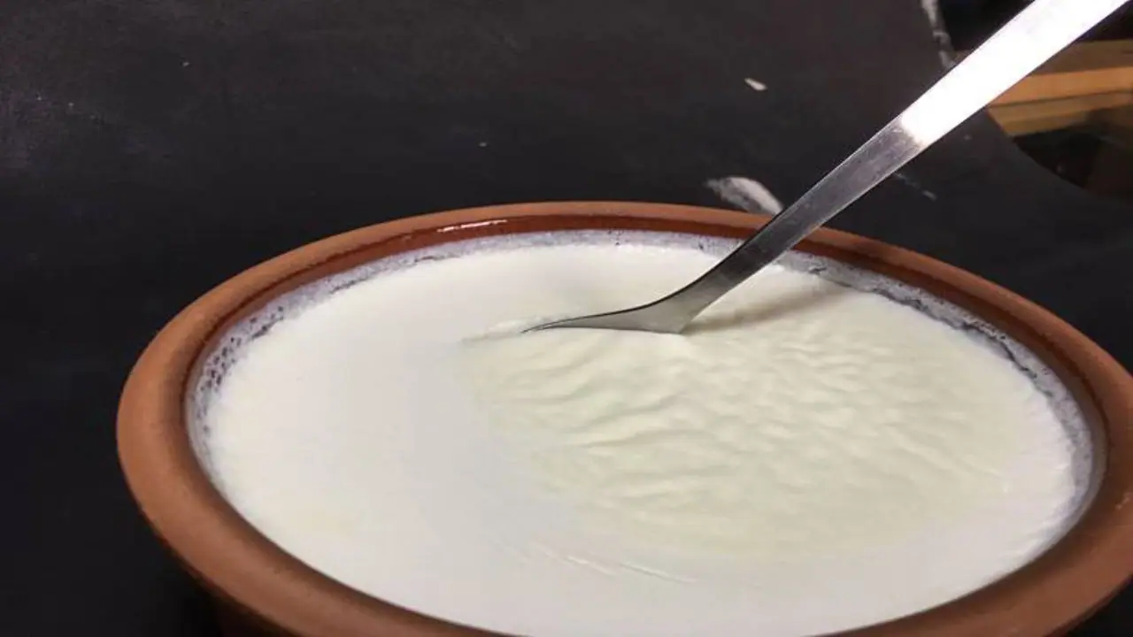 avoid eating these 5 foods with curd it can cause gut problems