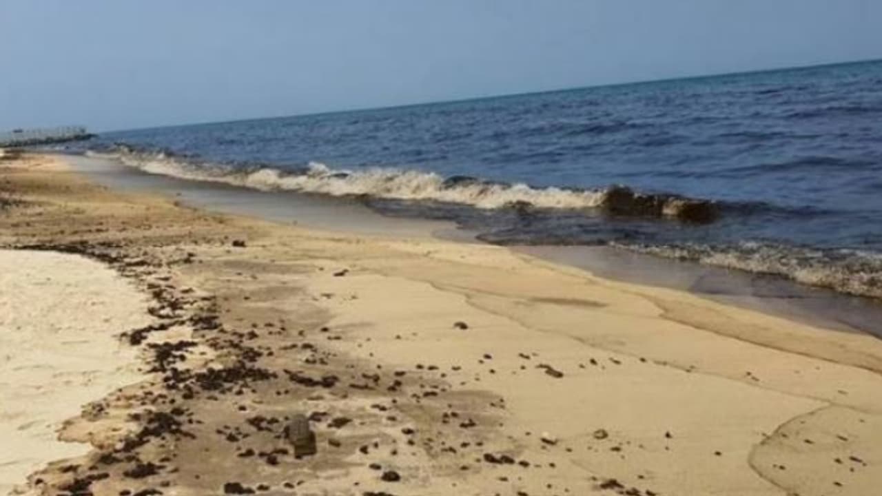 ഖോർഫക്കാൻ ബീച്ചിൽ നീന്തരുത്, എല്ലാ നീന്തൽ പ്രവർത്തനങ്ങളും താൽക്കാലികമായി നിർത്തിവെച്ചു ഖോർഫക്കാൻ ബീച്ചിൽ നീന്തരുത്, എല്ലാ നീന്തൽ പ്രവർത്തനങ്ങളും താൽക്കാലികമായി നിർത്തിവെച്ചു