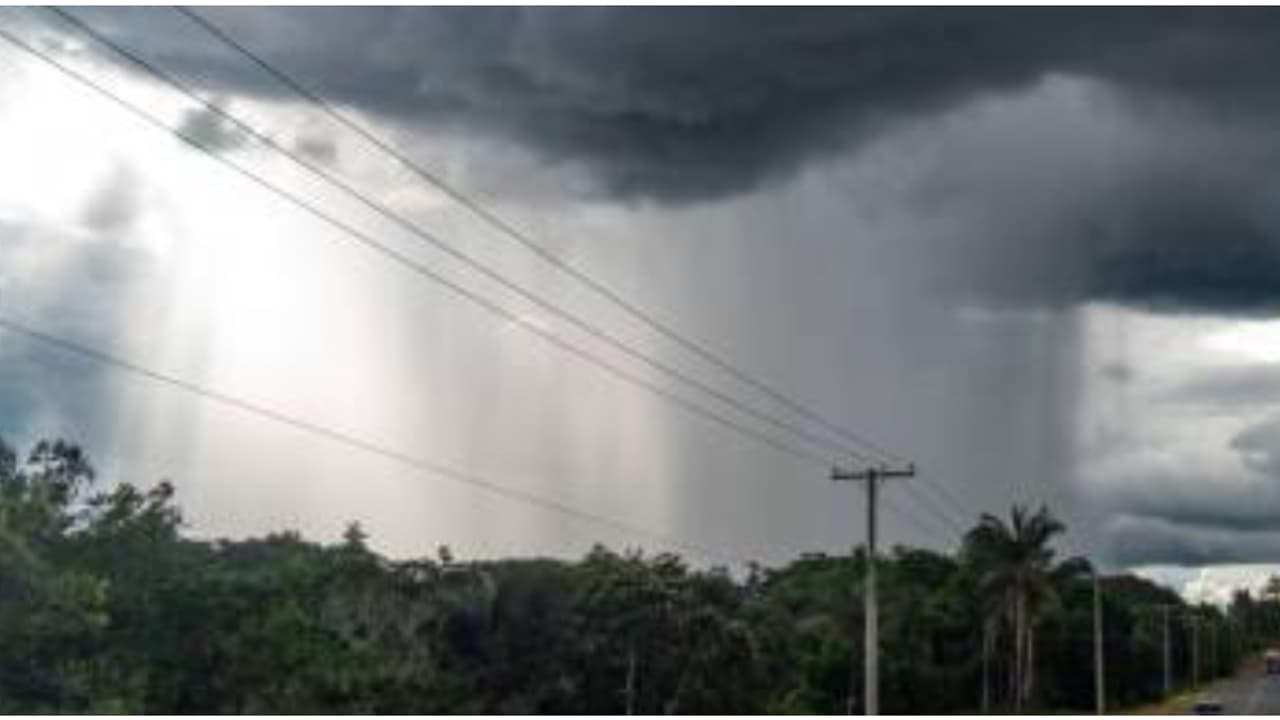 പെരുമഴയിൽ കണ്ണീർക്കാഴ്ച, 12 വയസ്സുള്ള കുട്ടി അടക്കം രണ്ട് പേർ ഷോക്കേറ്റ് മരിച്ചു; മഴക്കെടുതിയിൽ ബംഗളുരു