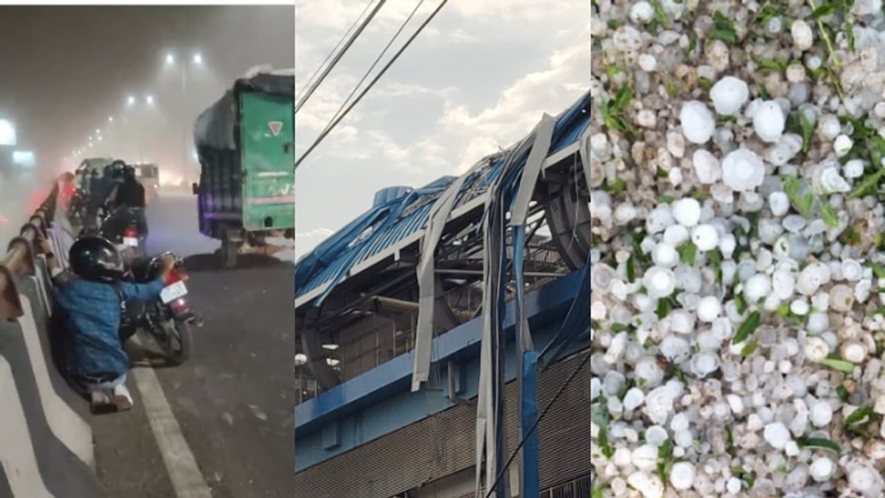 റെഡ് അലർട്ട്, ദില്ലിയിൽ കനത്ത മഴയിലും കാറ്റിലും 2 മരണം, 11 പേർക്ക് പരിക്കേറ്റു; വരും മണിക്കൂറുകളിലും മഴ റെഡ് അലർട്ട്, ദില്ലിയിൽ കനത്ത മഴയിലും കാറ്റിലും 2 മരണം, 11 പേർക്ക് പരിക്കേറ്റു; വരും മണിക്കൂറുകളിലും മഴ