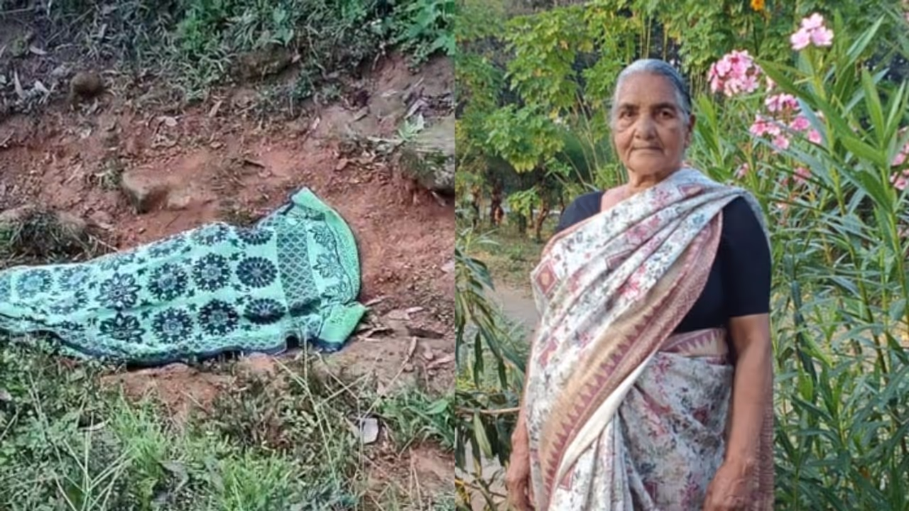 വീണ്ടും ജീവനെടുത്ത് കാട്ടാന; മലക്കപ്പാറ വാൽപ്പാറ അതിർത്തിയിൽ കാട്ടാന ആക്രമണത്തിൽ വായോധിക കൊല്ലപ്പെട്ടു വീണ്ടും ജീവനെടുത്ത് കാട്ടാന; മലക്കപ്പാറ വാൽപ്പാറ അതിർത്തിയിൽ കാട്ടാന ആക്രമണത്തിൽ വായോധിക കൊല്ലപ്പെട്ടു