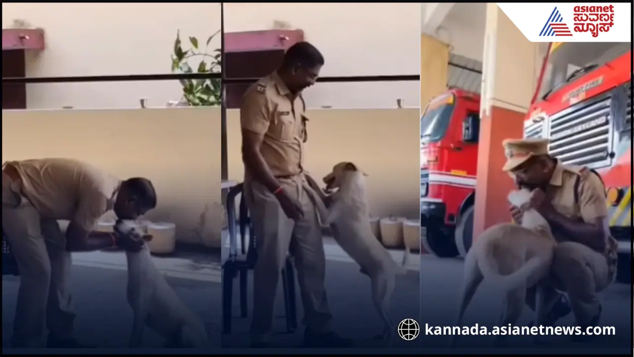 ಸೇವೆಯಿಂದ ನಿವೃತ್ತಿಯಾದ ಅಗ್ನಿಶಾಮಕ ದಳದ ಫೈರ್ ಫೈಟರ್ ನಾಯಿ, ಭಾವುಕರಾದ ಸಿಬ್ಬಂದಿ ಸೇವೆಯಿಂದ ನಿವೃತ್ತಿಯಾದ ಅಗ್ನಿಶಾಮಕ ದಳದ ಫೈರ್ ಫೈಟರ್ ನಾಯಿ, ಭಾವುಕರಾದ ಸಿಬ್ಬಂದಿ