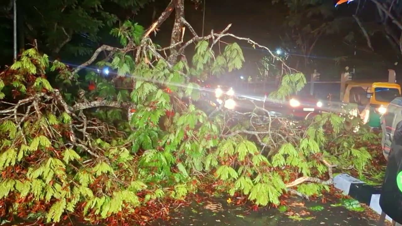 രാത്രി തുടർച്ചയായി കനത്ത മഴ; മരങ്ങൾ കടപുഴകി വീണു, വെള്ളക്കെട്ടും; ഗതാഗതം തടസ്സപ്പെട്ടു; ദുരിതത്തിൽ തലസ്ഥാനം