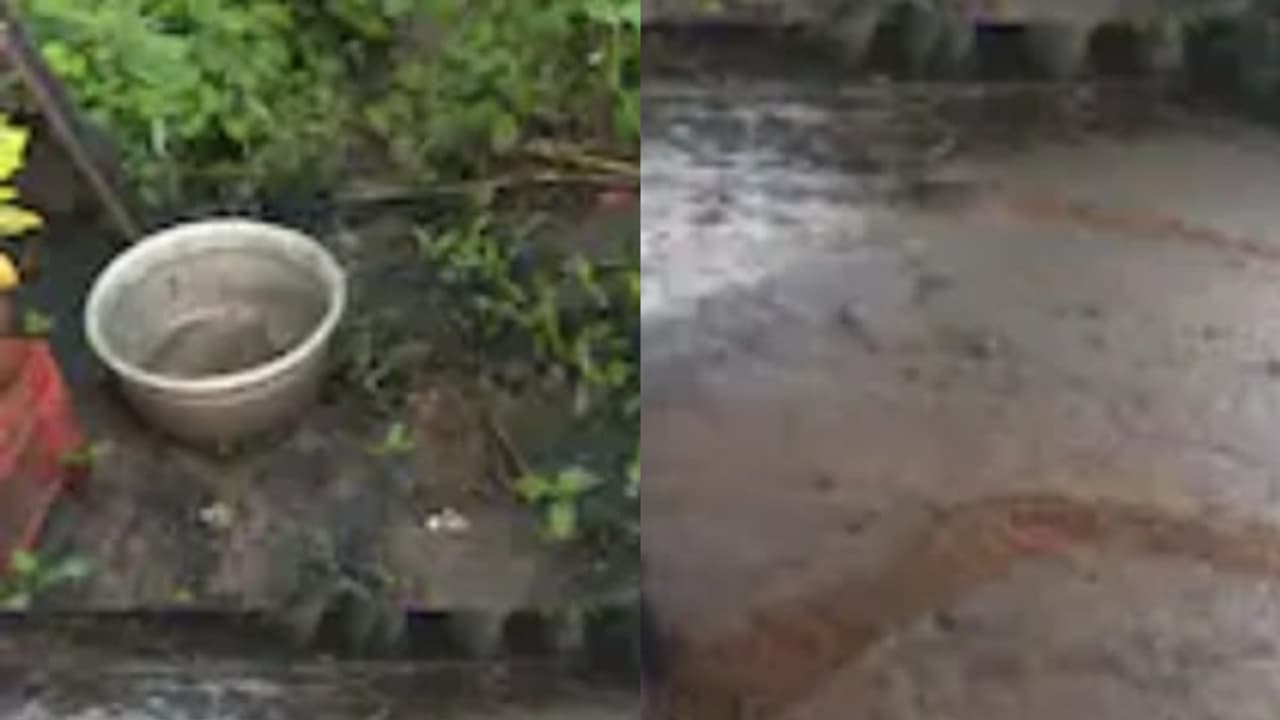 മഴ പെയ്തതോടെ ദേശീയപാതയിൽ നിന്ന് ടാര് ഒഴുകി വീട്ടിൽ, വാര്ത്തകൾക്ക് പിന്നാലെ ഓടിയെത്തി കമ്പനിയുടെ ഉറപ്പ് മഴ പെയ്തതോടെ ദേശീയപാതയിൽ നിന്ന് ടാര് ഒഴുകി വീട്ടിൽ, വാര്ത്തകൾക്ക് പിന്നാലെ ഓടിയെത്തി കമ്പനിയുടെ ഉറപ്പ്